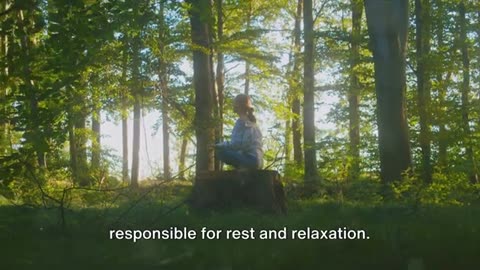 Crush Anxiety and Elevate Wellness with These Breathing Hacks!