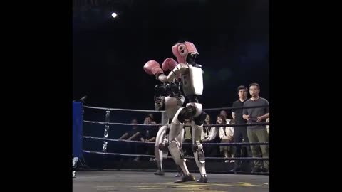 Chinese robots go head to head in epic battle