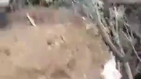 Russian Troops Clearing Armed Ukrainians out of Trenches