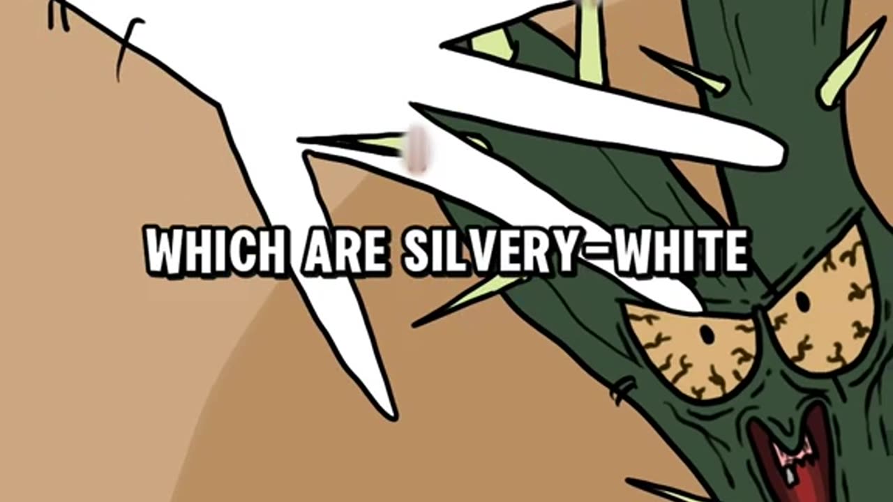 THE DANGEROUS CACTUS EVER!