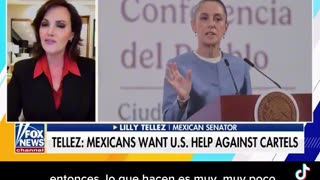 Mexican Senator Lilly Téllez Mexicans want U.S. help against the cartels