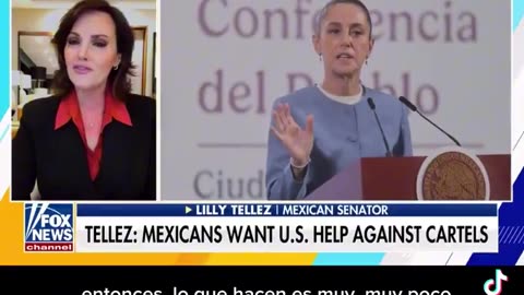 Mexican Senator Lilly Téllez Mexicans want U.S. help against the cartels