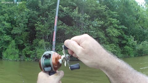 Kayak fishing bank vegetation, nice bass 1 of 2 - Fish on!