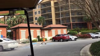 Taking RV Break “Exploring Westgate Resort Orlando – This Place is INSANE!”