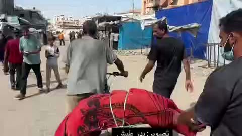 A father transports the body of his martyred son on a bicycle in Gaza