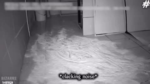 😨👻 A Haunted Store You Won't Believe Exists | TheHauntingHour