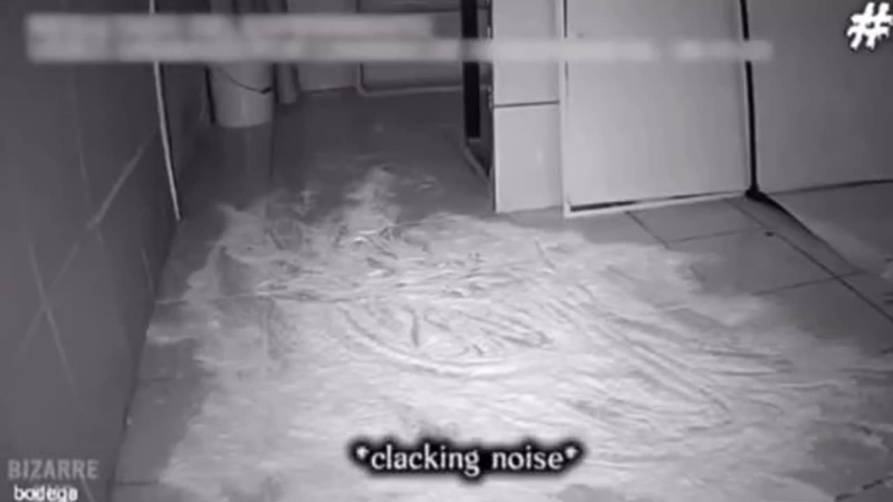 😨👻 A Haunted Store You Won't Believe Exists | TheHauntingHour