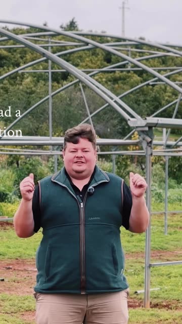 🪴 Update on the greenhouse!