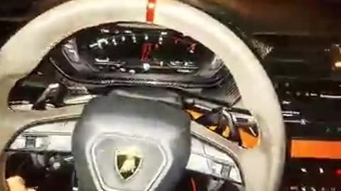 Litvin TESTED THE BULL'S POWER