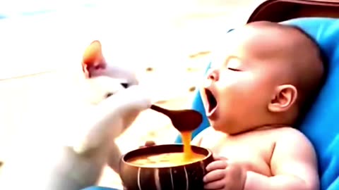 Hero Cat Rescues Lost Child