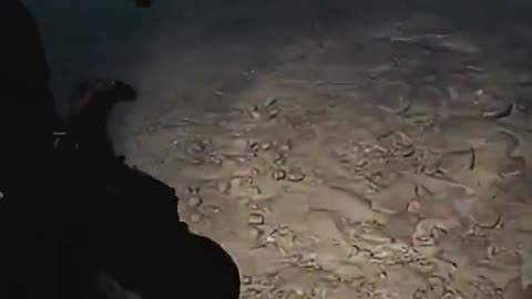 Cronos (I panicked and almost died)