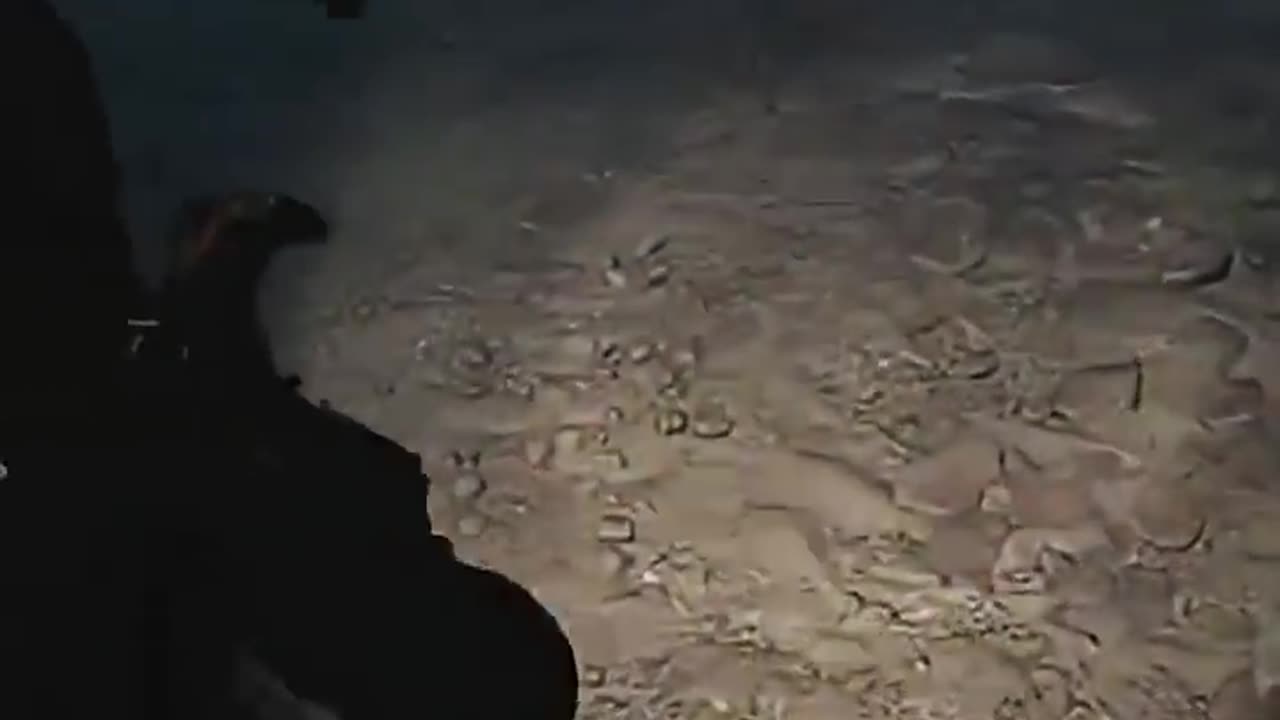 Cronos (I panicked and almost died)