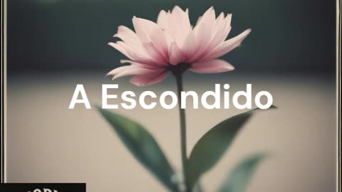 A Escondido