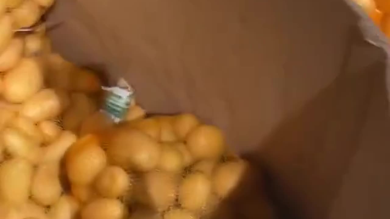 Niemcy również mają coraz większy problem z nadmiernym importem. Wszystkie ziemniaki, które można kupić w ALDI, pochodzą z oddalonego o 4000 km Izraela, a nie od niemieckiego rolnika.