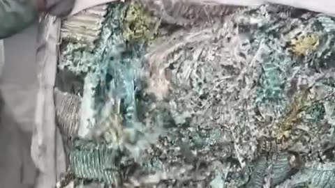 Follow for this type of video...