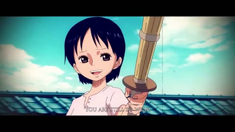 One piece Roronoa Zoro Story Never Lose