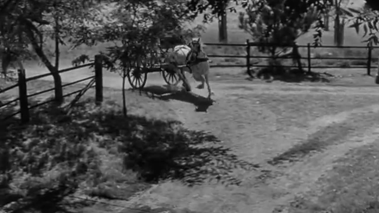The Black Book (1949)