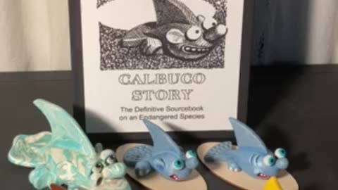 CALBUCO STORY, Available Now! Search: ISBN 9798281669375