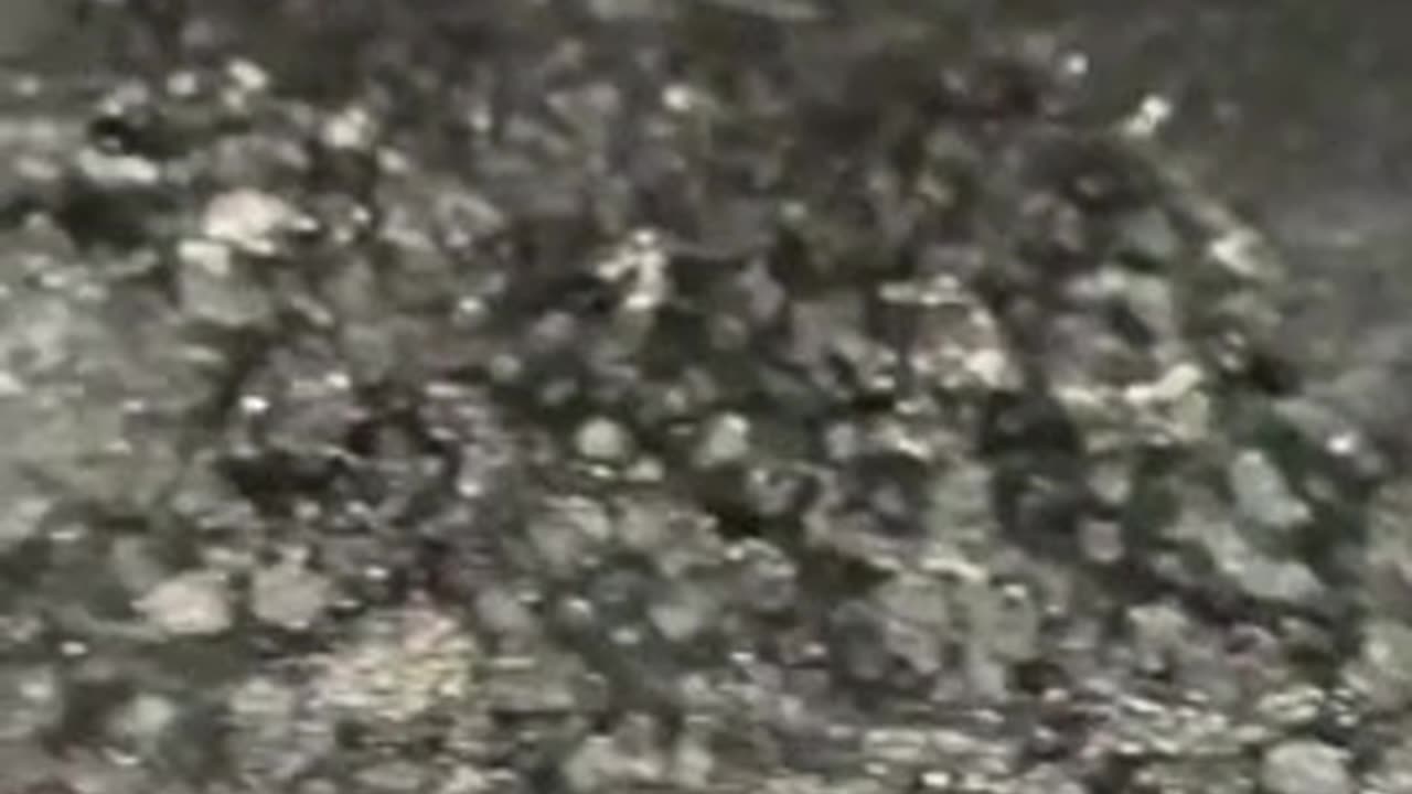 Freeze dried psilocybin crystals infused into raw honey