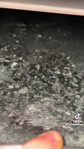 Freeze dried psilocybin crystals infused into raw honey