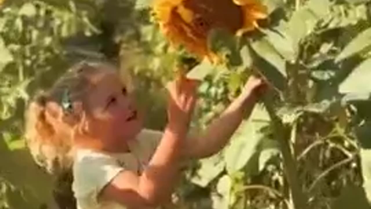 Sounds too good to be true