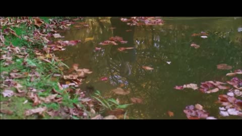 THRILLER - HORROR - YOU WON'T BE ABLE TO SLEEP ANYMORE AFTER THIS! - FILM