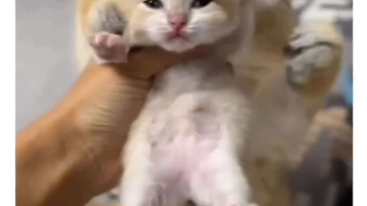 Lovely Mom 💋🥰🤗💓❤️