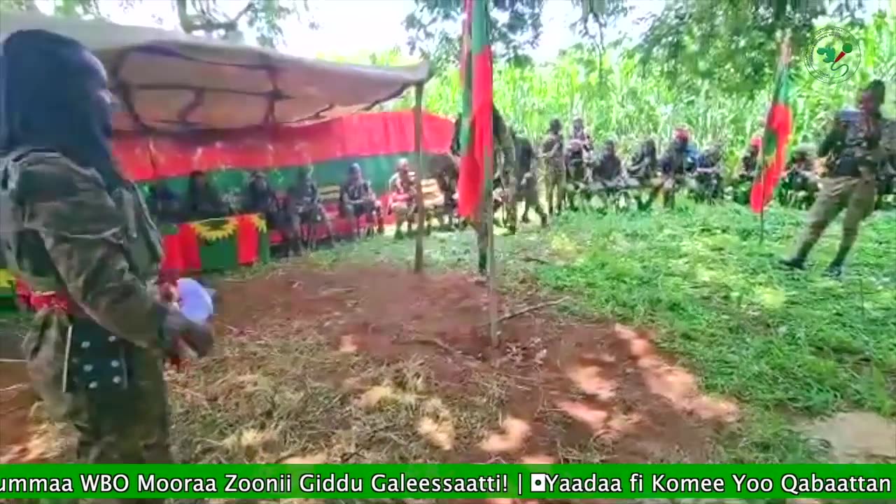 Eebba Qondaaltummaa ONM-ABO Fulbaana 13-2025 itti dhiyaadhaa!