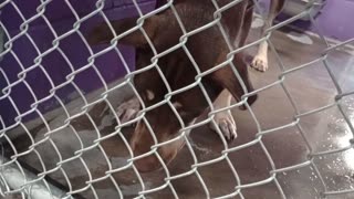 VID_20250919_143057417