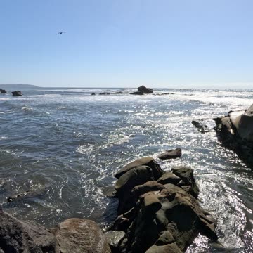 REEF VIEW North of BIRD ROCK #waves #shorts #reef