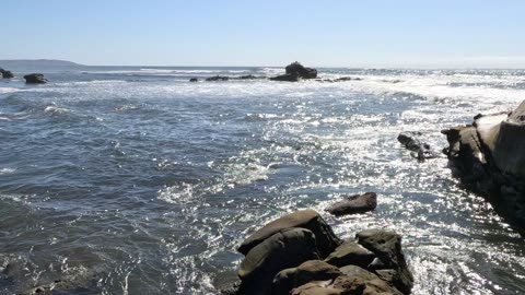 REEF VIEW North of BIRD ROCK #waves #shorts #reef