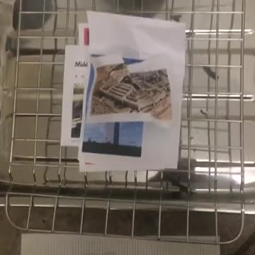 Tim Rifat TikTok Videos