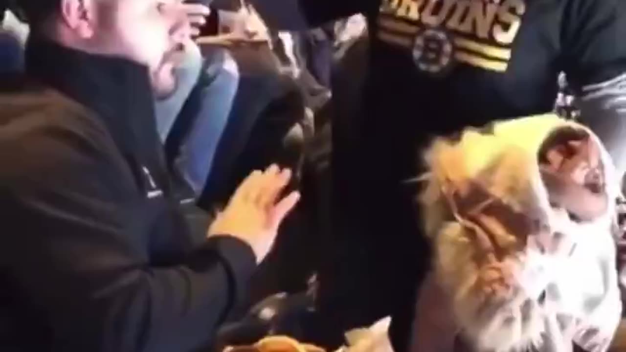 Who is teaching women to act like this