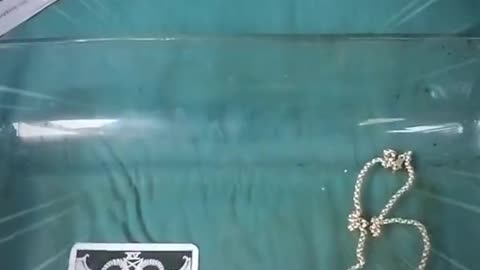 Tim Rifat TikTok Videos