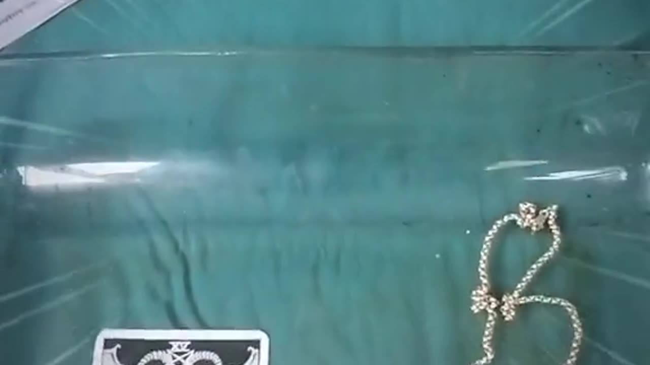Tim Rifat TikTok Videos