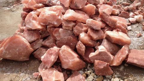 WHEN I SAY THE ROCKS WERE ALIVE THE ROCKS WERE ALIVE!