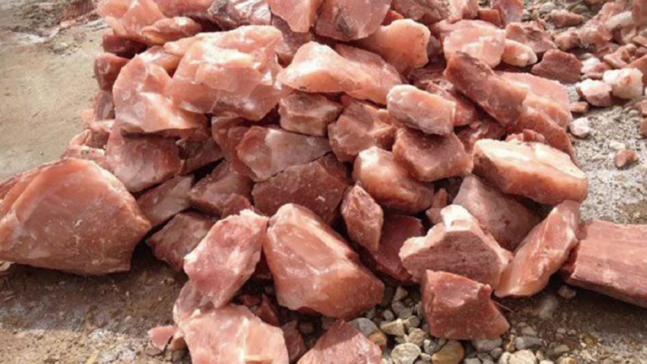 WHEN I SAY THE ROCKS WERE ALIVE THE ROCKS WERE ALIVE!