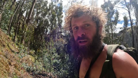 Micelio, hongos, setas... cómo pueden ayudarnos a limpiar la tierra