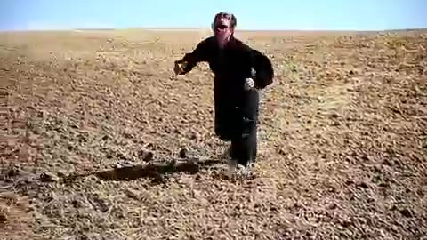 amazing video #virl #short