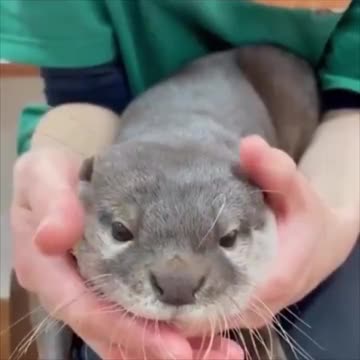 GÄSP! Jag är inte i form på mornarna - Det är förstås eftermiddag, men då förstår du hur mornarna är