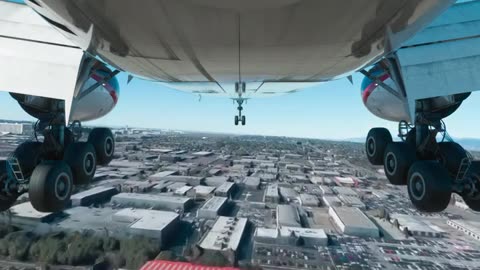 Fight Landing 😲
