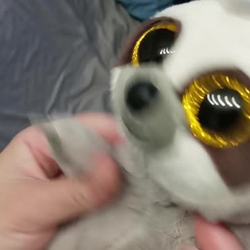 Daughter Goofing Off With Dad