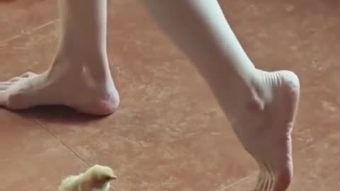 🤣🌽 Chick Says "Hold My Corn" and This Happens! | FunFM