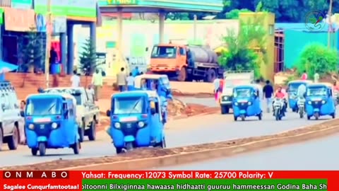 Oduu Ganama ONM-ABO Hagayya 23-2025 itti dhiyaadha!