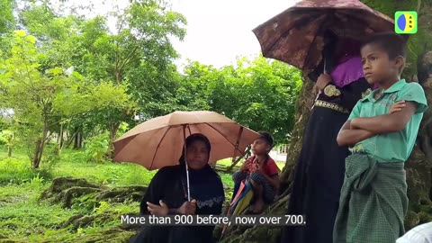 🇲🇲 Myanmar War | Alleged Massacre in Htan Shauk Kan Village | RCF