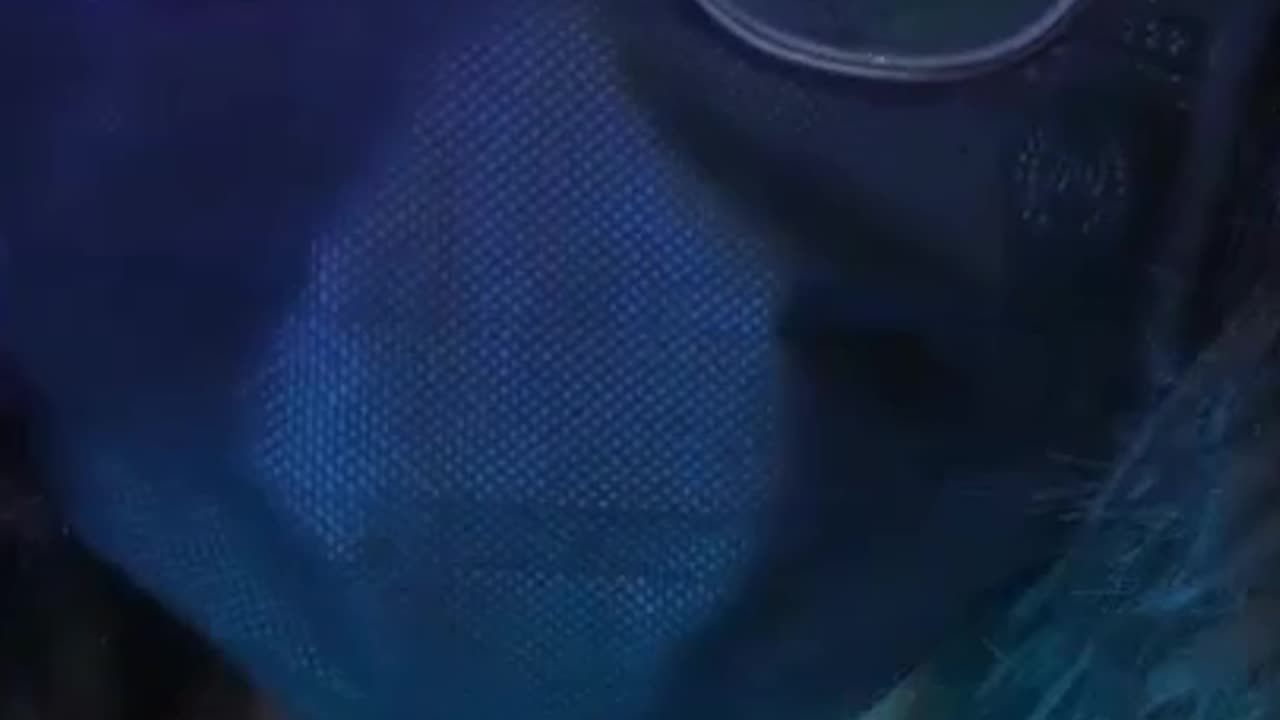 💅 Femboy ASMR | Collarbone Taps, Hair Play & Silly Yapping 🌧️✨