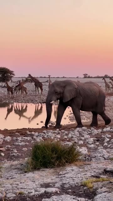 There's nowhere quite like Namibia.