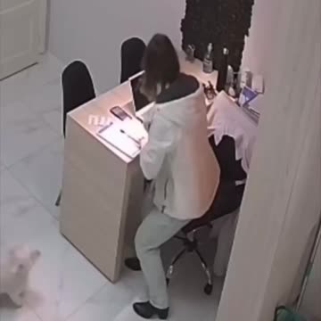 Veterinarian filmed the reactions of her patients, the dogs, when they see her..