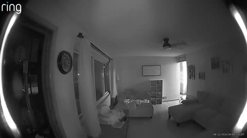 Ring Camera Captures Man Falling Into Home