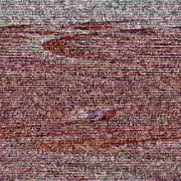 Tim Rifat TikTok Videos